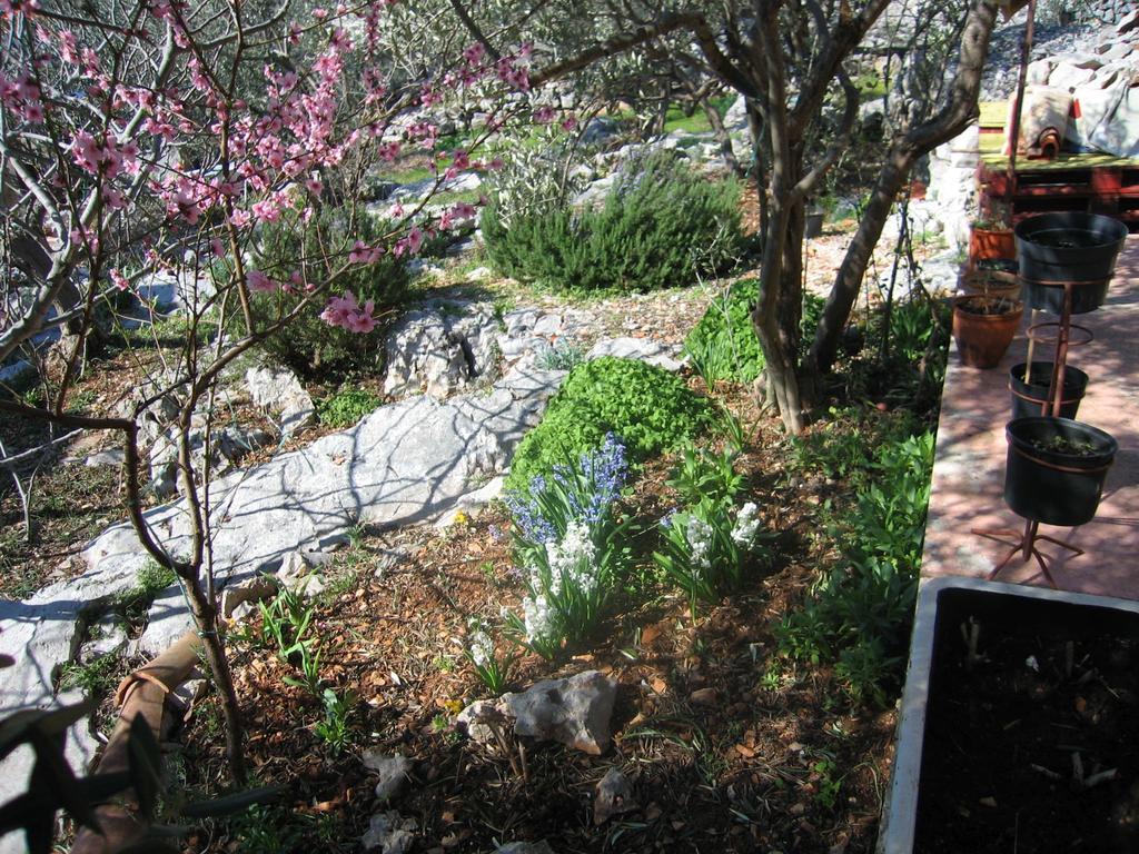 Holiday Home Zeljana Kaprije Luaran gambar