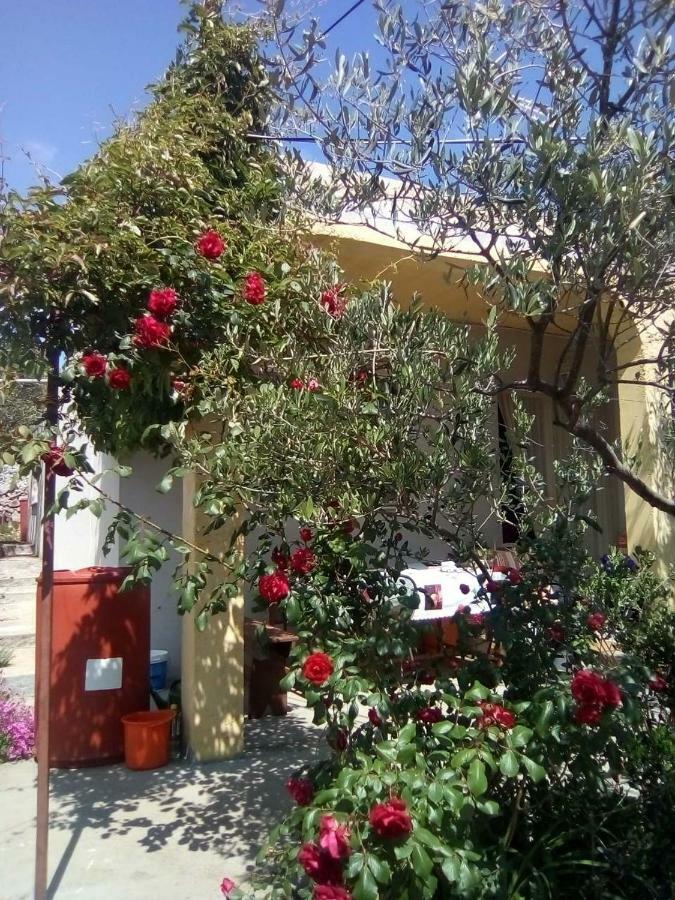 Holiday Home Zeljana Kaprije Luaran gambar